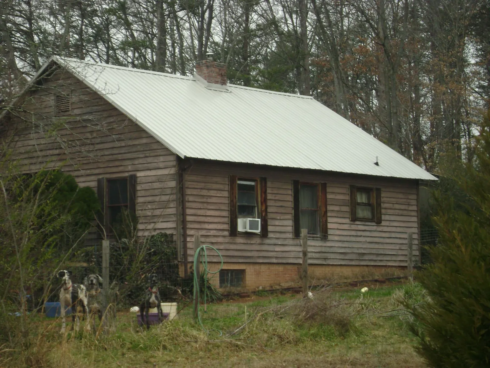 White metal roof on an old wood sided farmhouse, from a Metal Roof Installation job in Belfield